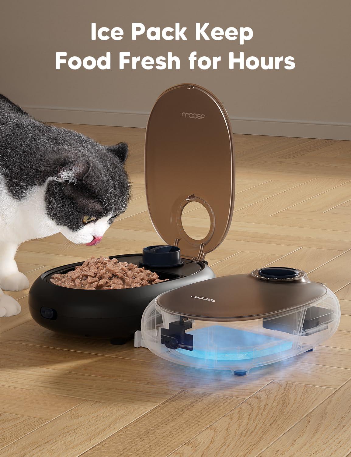 imageWOPET Automatic Cat Feeder 48Hour Timed Pet Food Dispenser with Ice Pack for Freshness Yogurt ampamp Canned Meals Perfect for Cats Kittens ampamp Small DogsBlack