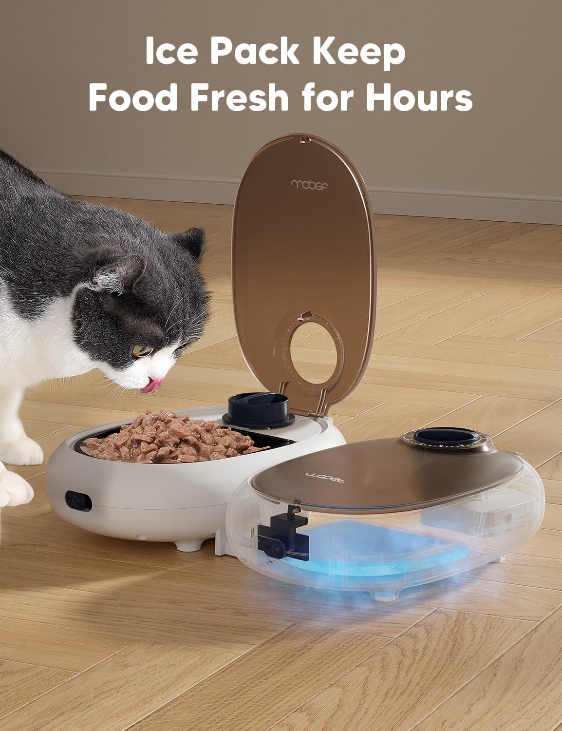 image:imageWOPET Automatic Cat Feeder 48H Programmable Pet Food Dispenser with Ice Pack for Freshness Yogurt amp Canned Meals Perfect for Cats Kittens amp Small DogsWhite