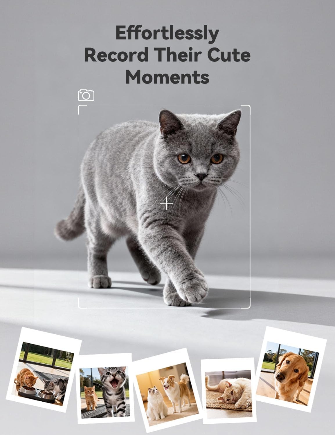 image:imageWOPET Automatic Dog Feeder with Camera1080P HD Video with Night Vision 5GHz24GHz Dog Food Dispenser with App Control 4GB SD Card 2Way Audio for Cats amp DogsBlackGrey