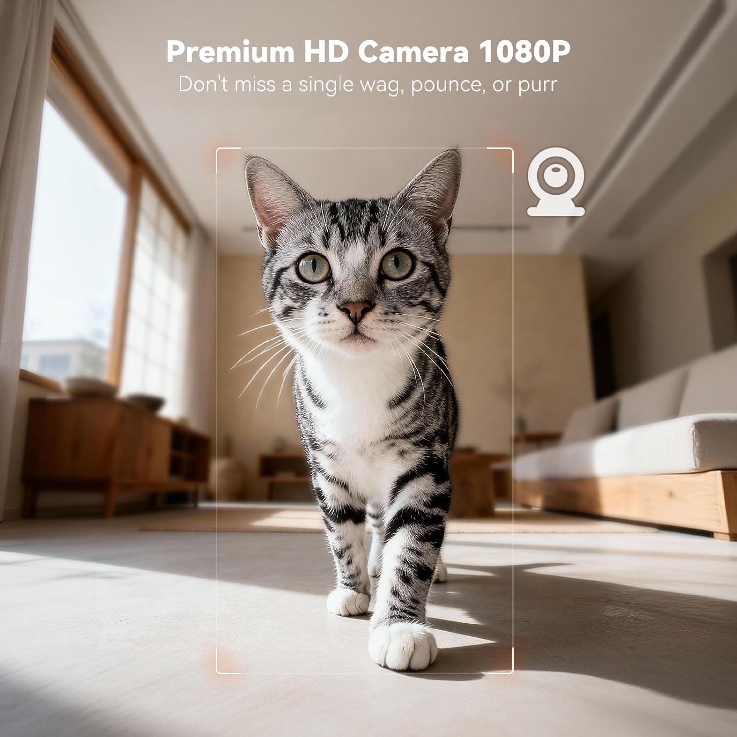 image:imageWOPET Automatic Dog Feeder with Camera1080P HD Video with Night Vision 5GHz24GHz Dog Food Dispenser with App Control 4GB SD Card 2Way Audio for Cats amp DogsBlackOrange